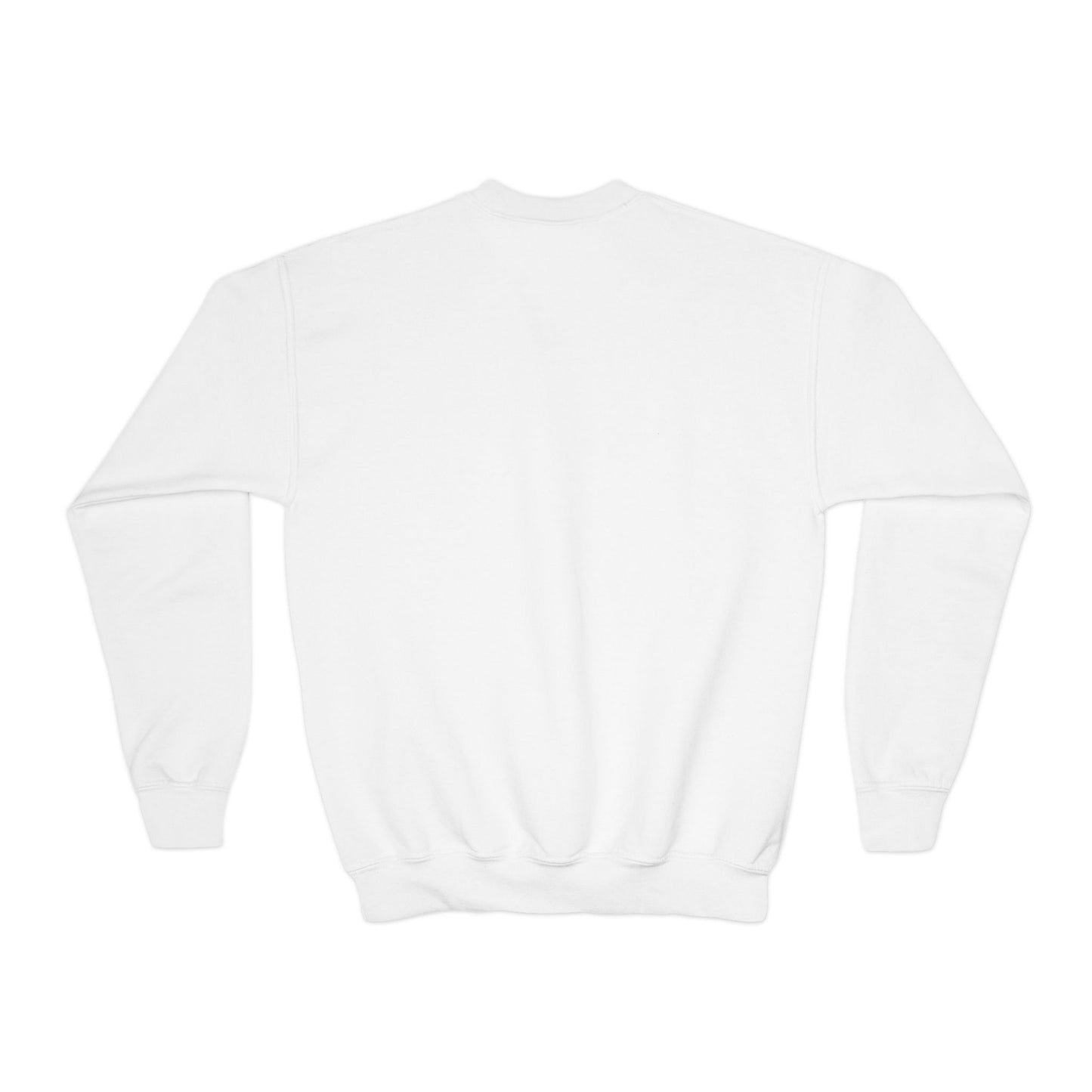Youth Sweatshirt — "Here for the Treats" Halloween Candy Crewneck